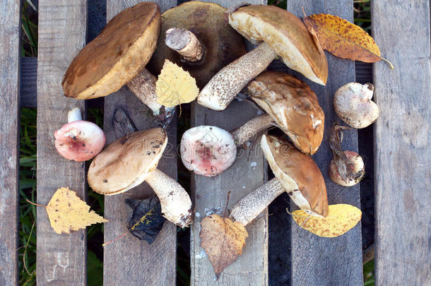 木制桌子上的食用蘑菇