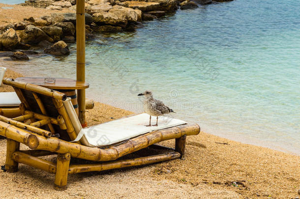 沙滩上的沙滩椅和雨伞。 休息、放松、度假、水疗、度假的概念