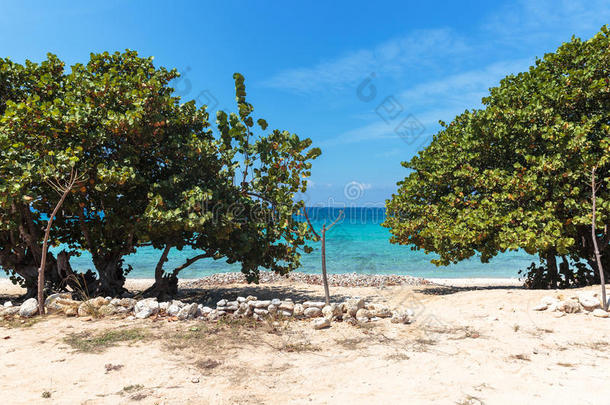 安康海滩蓝色平静的加勒比