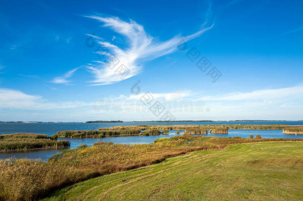 秋天平均的海滩鸟云景