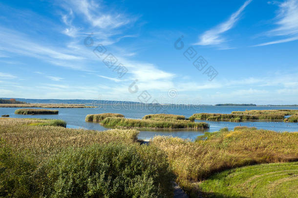 秋天平均的海滩鸟云景