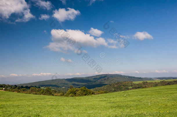 蓝天白云下的绿色牧场和森林