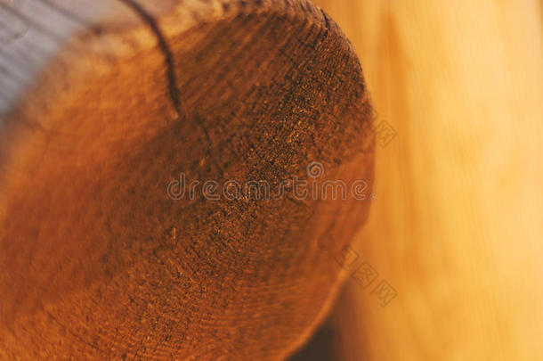 砍伐的树桩.树干的年轮部分