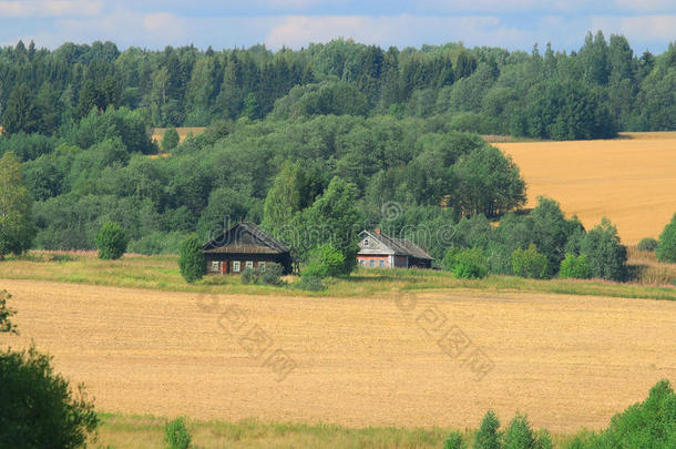 农业在…之间秋天平均的背景