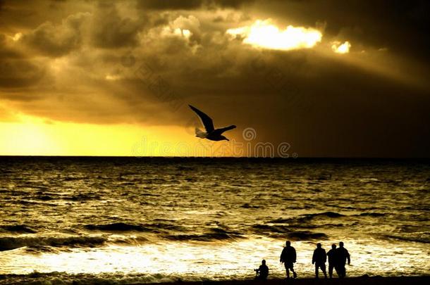 在圣莫尼卡海滩日落时，鸟飞过海滩上的剪影人
