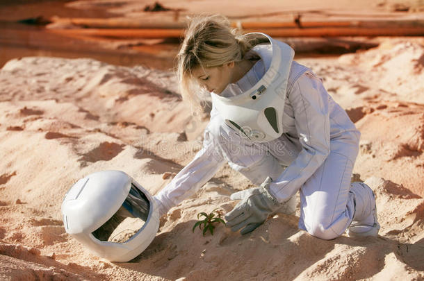 在火星上种植植物，没有未来主义宇航员