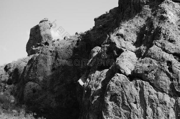 亚利桑那州黑白驼背攀登运动