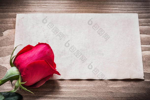 白纸和玫瑰花开在木板上