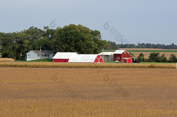 农场现场红色建筑白色屋顶