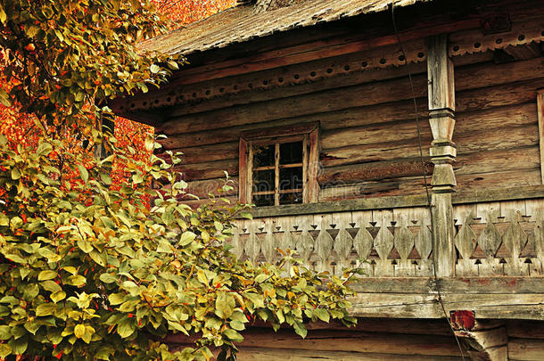 秋天的乡村景观-树木之间的小房子