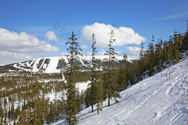 达拉纳森林小山地标风景