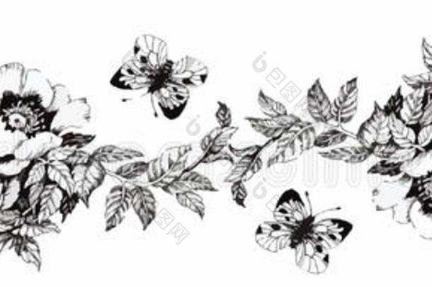 花上的蝴蝶。 白色背景上分离的花上的蝴蝶。 水彩画手工制作。