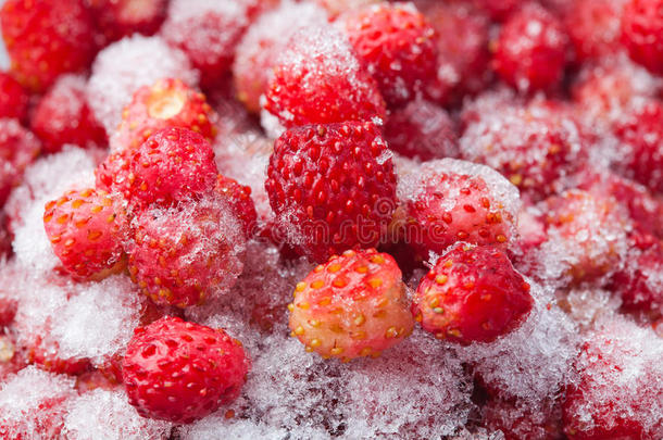 特写照片冷冻<strong>草莓</strong>。 质<strong>地草莓</strong>浆果在冰箱里