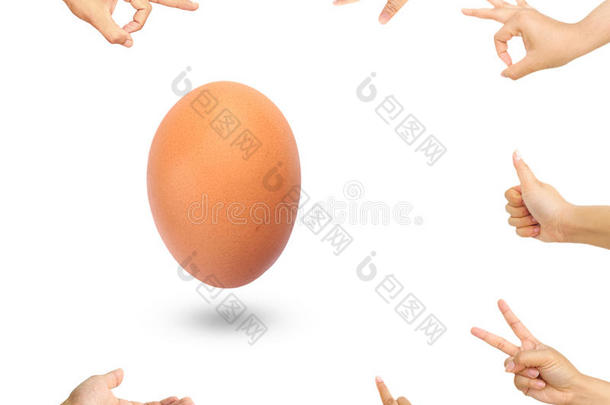 鸡蛋和一群手显示手势周围