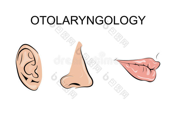 彩色<strong>耳鼻喉</strong>科