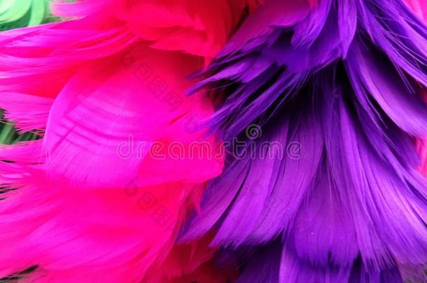 明亮的紫色和令人震惊的粉红色羽毛闪闪发光的彩色背景和纹理