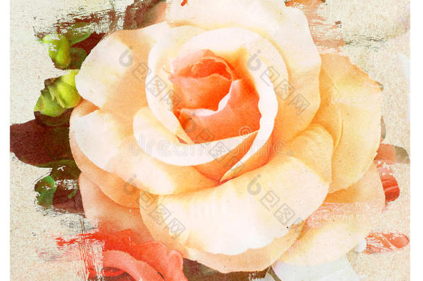花复古，玫瑰与纸质感背景