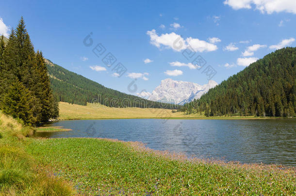 美丽的高山全景