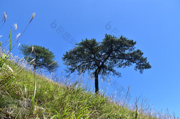 武功山