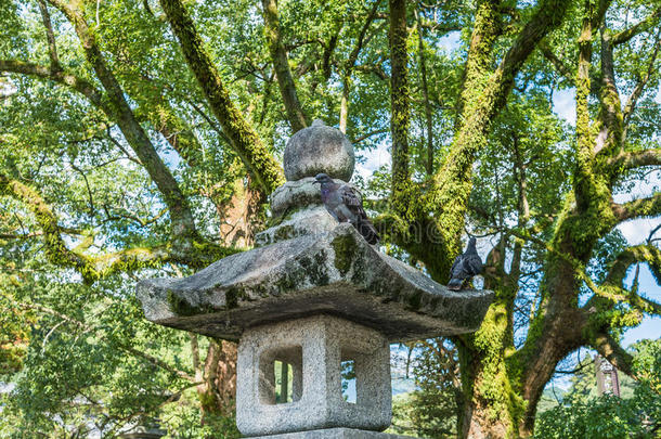 福冈的大扎福神社