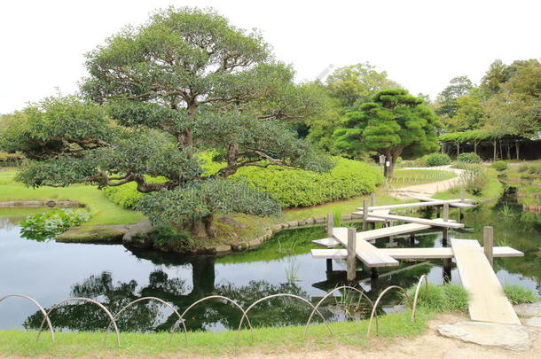 亚洲花园伟大的绿色日本