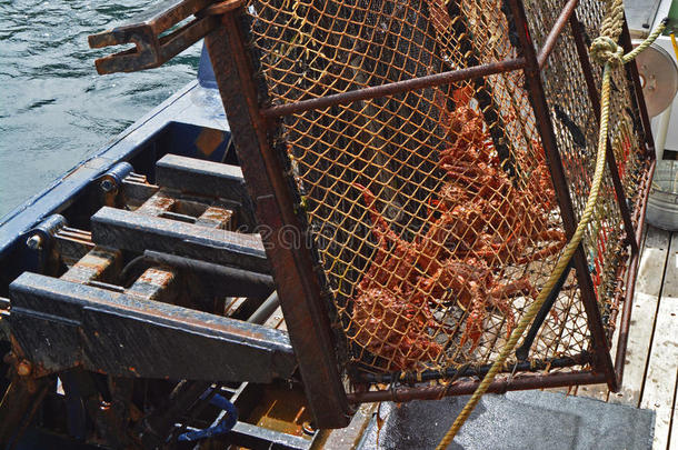 阿拉斯加的螃蟹渔业