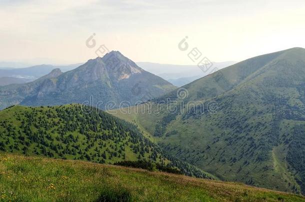 <strong>绿色风景</strong>草地山自然