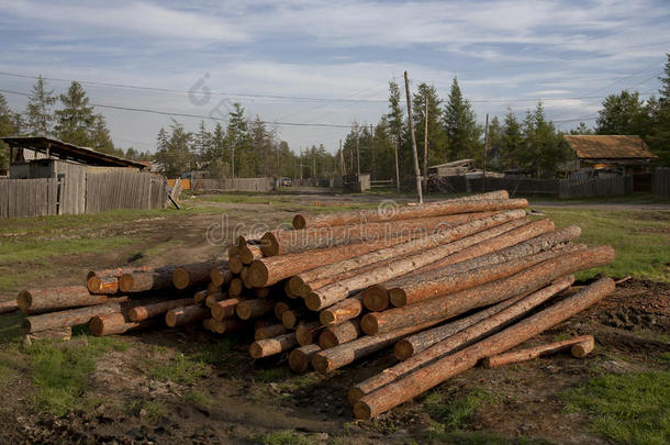 束清理木柴林间空地工业的