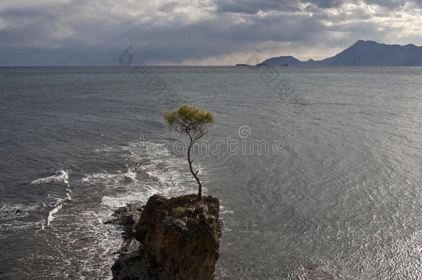 地中海。