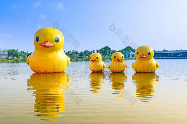 湖里漂浮的橡胶鸭子