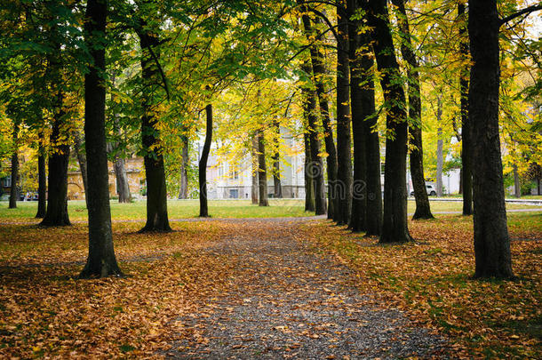 <strong>早秋</strong>的颜色在爱沙尼亚塔林的卡德里欧公园看到。
