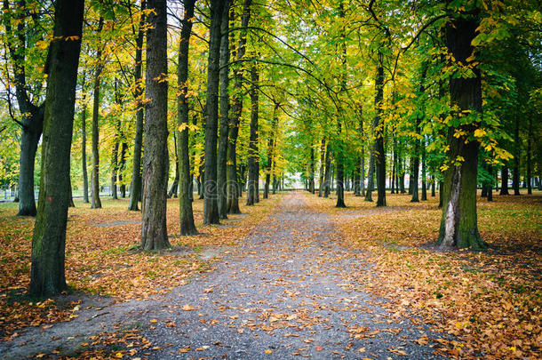 早秋的颜色在爱沙尼亚塔林的卡德里欧公园看到。