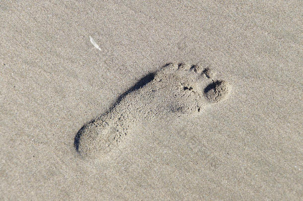 漂流沙子上的脚印