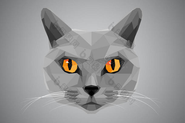 灰色猫橙色眼睛-多边形风格。