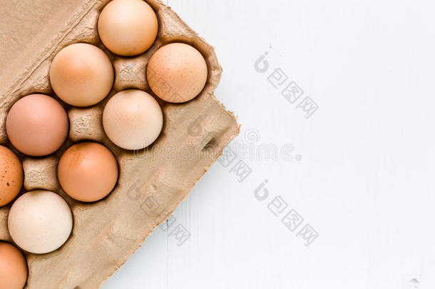 新鲜鸡蛋背景/鸡蛋背景/新鲜鸡蛋在白色背景上