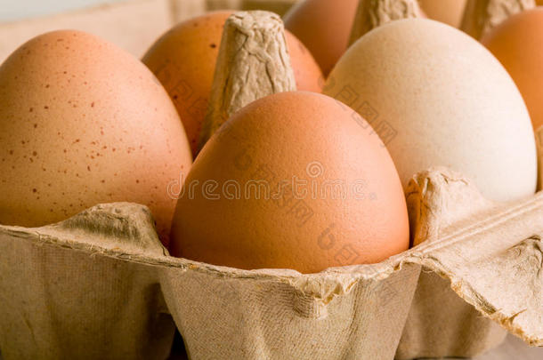 鸡蛋特写/鸡蛋/鸡蛋特写镜头，宏