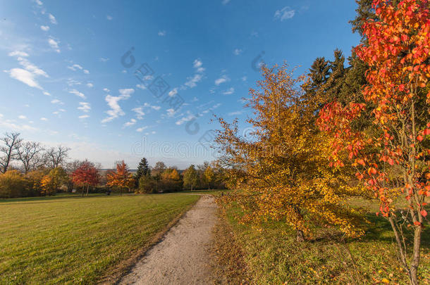秋天和明亮的颜色。 秋天童话森林树