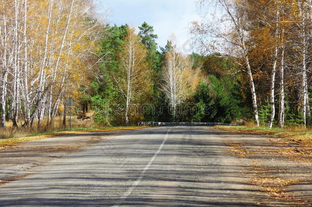 阿尔泰亚公路