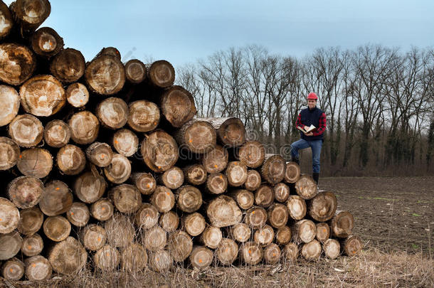 农业的商业计数森林砍伐生态学