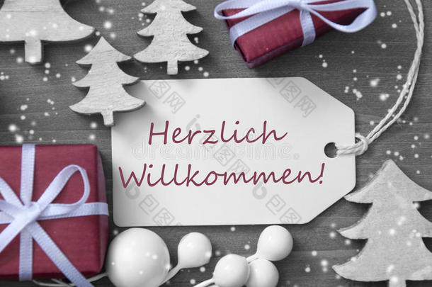 圣诞标签礼物雪花Herzlich Willkommen表示欢迎