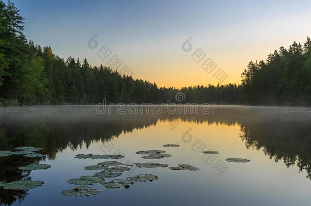 黎明在湖面上反射和雾，芬兰