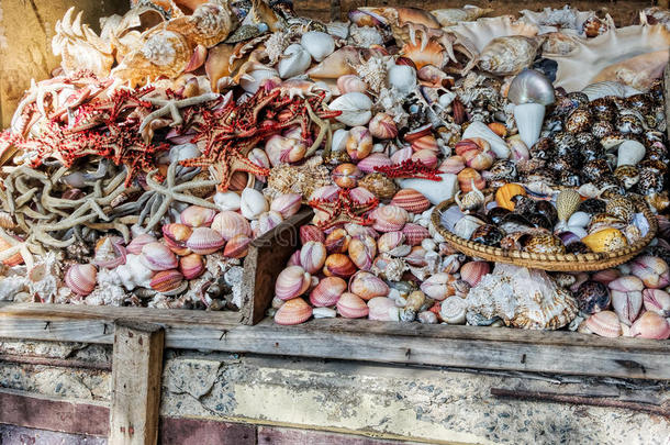海鲜市场上的贝壳