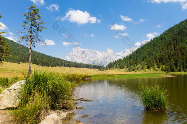 美丽的高山全景