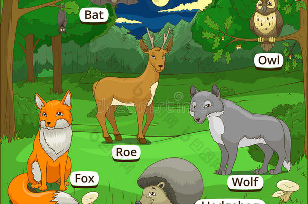 森林里有卡通动物的名字