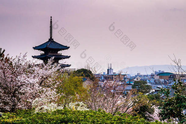 <strong>京都</strong>寺