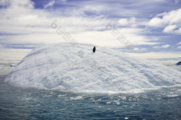 冒险漂浮南极南极洲北极的