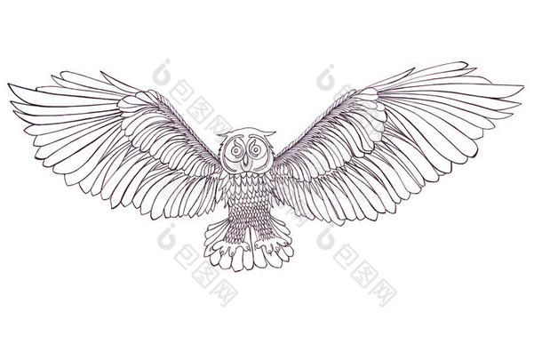 飞行猫头鹰的图形插图。 黑白风格。 手