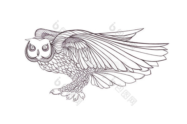 飞行猫头鹰的图形插图。 黑白风格。