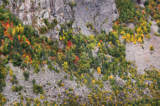 秋天加拿大峡谷悬崖颜色
