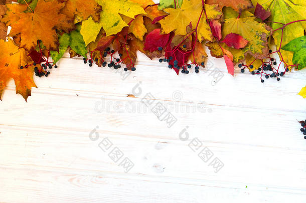 秋叶木质背景，黄色、绿色和勃艮第